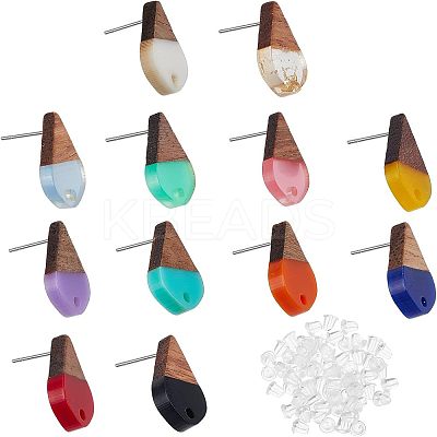 12 Pairs 12 Colors Transparent & Opaque Resin & Walnut Wood Stud Earring RESI-FH0001-42-1