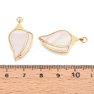 304 Stainless Steel Pave Natural Shell Pendants STAS-N115-20A-G-1