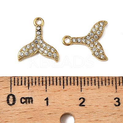 304 Stainless Steel Charms STAS-F321-01G-06-1