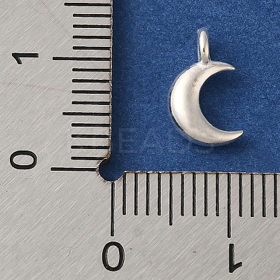 925 Sterling Silver Charms FIND-U013-06S-01-1