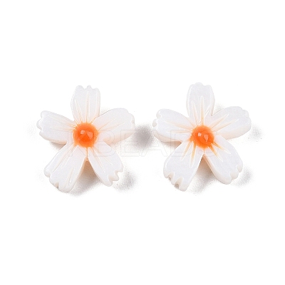 Natural Freshwater Shell Beads Strands SHEL-F004-04-01-1