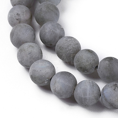 Natural Labradorite Beads Strands G-I218-02-1