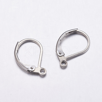 Tarnish Resistant 304 Stainless Steel Leverback Earring Findings STAS-K146-035-15.5mm-1