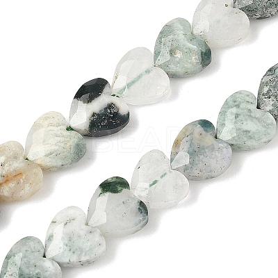 Natural Tree Agate Beads Strands G-D316-B07-1