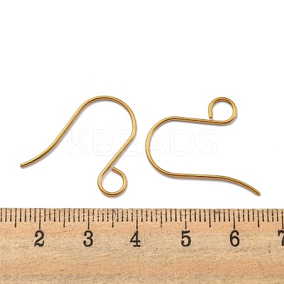 Ion Plating(IP) 316 Stainless Steel French Earring Hooks JX138G-1