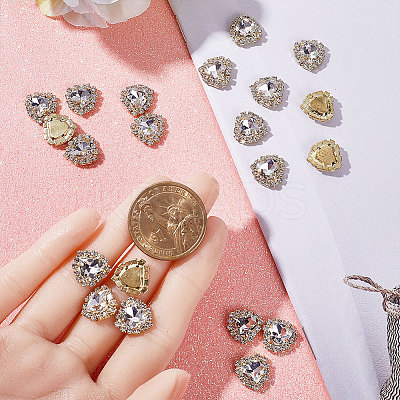 30Pcs Sew on Rhinestone RGLA-GF0001-13B-1