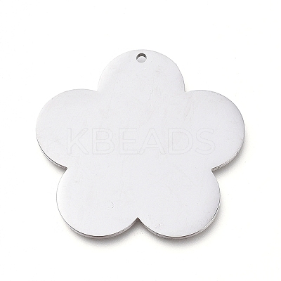 Tarnish Resistant 304 Stainless Steel Pendants LS-STAS-L238-097A-P-1