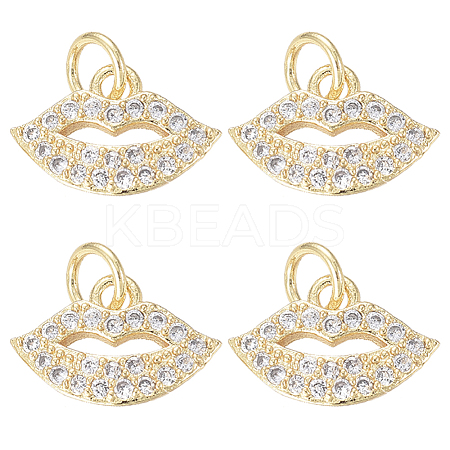 6Pcs Brass Micro Pave Grade AAA Cubic Zirconia Charms ZIRC-BBC0001-72-1