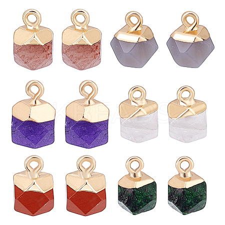 12Pcs 6 Styles Natural Ruby in Zoisite & Natural White Jade & Red Jasper & Grey Agate & Strawberry Quartz & Quartz Crystal Star Cut Round Charms G-HY0001-87-1