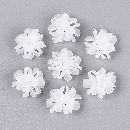Frosted Transparent Acrylic Cabochons AC-N177-01A-01-1