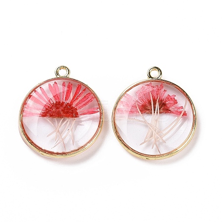 Transparent Clear Epoxy Resin Pendants LS-RESI-L036-08G-01-1