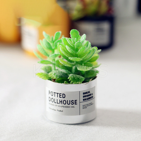 Resin Succulents Pot Model WG57627-02-1