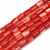 Natural Trochid Shell/Trochus Shell Beads Strands SHEL-N003-26-B03-1