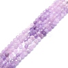 Natural Lepidolite/Purple Mica Stone Beads Strands G-P457-A02-01-1