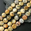 Flat Round Natural Crazy Lace Agate Beads Strands G-S110-05-1