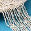 Natural Cultured Freshwater Pearl Beads Strands PEAR-L034-14B-1