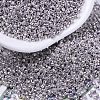 MIYUKI Delica Beads X-SEED-J020-DB0429-1