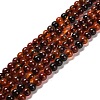 Natural Carnelian Beads Strands G-B079-A03-01-1