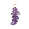 10Pcs 5 Colors 12 Constellation Natural Citrine & Golden Sheen Obsidian & Rose Quartz & South Red Agate & Amethyst Pendants PALLOY-JF02839-09-3