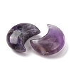 Natural Banded Amethyst Beads G-T147-01A-07-2