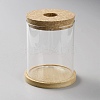 Column Glass Hydroponics Plants Pot Flower Bottle Tube Vase AJEW-WH0541-11B-1