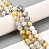 Natural African Opal Beads Strands G-B048-B03-01-2