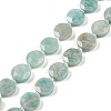 Natural Amazonite Beads Strands G-C116-A23-01A-2