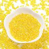 Glass Seed Beads SEED-A033-02A-03-2