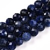 Natural Sodalite Beads Strands G-S345-10mm-26-1