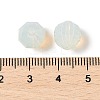 K9 Glass GLAA-R001-01-02-2