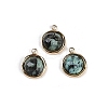 Natural African Turquoise(Jasper) Faceted Flat Round Charms STAS-I325-147G-01-1