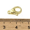 Brass Lobster Claw Clasps KK-B089-24B-G-3