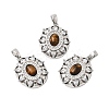 Natural Tiger Eye Pendants KK-G553-06P-1