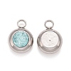 304 Stainless Steel Charms STAS-G133-13F-2