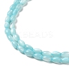 Natural Trochus Shell Beads Strands SHEL-K006-19D-3