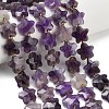 Natural Amethyst Beads Strands G-L657-A08-01-1