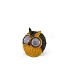 Creative Owl Resin Display Decorations DJEW-PW0012-053C-1