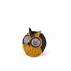 Creative Owl Resin Display Decorations DJEW-PW0012-053C-1