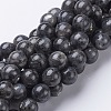 15.5 inch Natural Larvikite Beads Strands GSR12mmC128-1