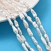 Natural Baroque Keshi Pearl Beads Strands PEAR-P064-06B-02A-1
