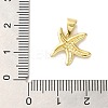 Starfish Rack Plating Brass Charms KK-U027-36G-3