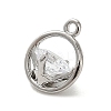 Brass Micro Pave Cubic Zirconia Charms ZIRC-F143-02P-2
