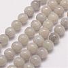 Natural Labradorite Bead Strands G-P259-05-10mm-1