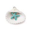 Summer Beach Natural Shell Pendants PALLOY-JF02649-02-1