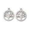 304 Stainless Steel Charms STAS-P433-05P-1
