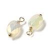 Electroplate Glass Charms KK-P242-21G-03-2