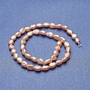 Natural Cultured Freshwater Pearl Beads Strands PEAR-P060-23C-2