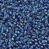 MIYUKI Round Rocailles Beads SEED-X0054-RR1025-3