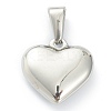 304 Stainless Steel Pendants LS-STAS-P278-01J-P-2