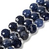 Natural Sodalite Beads Strands G-B153-B11-2
